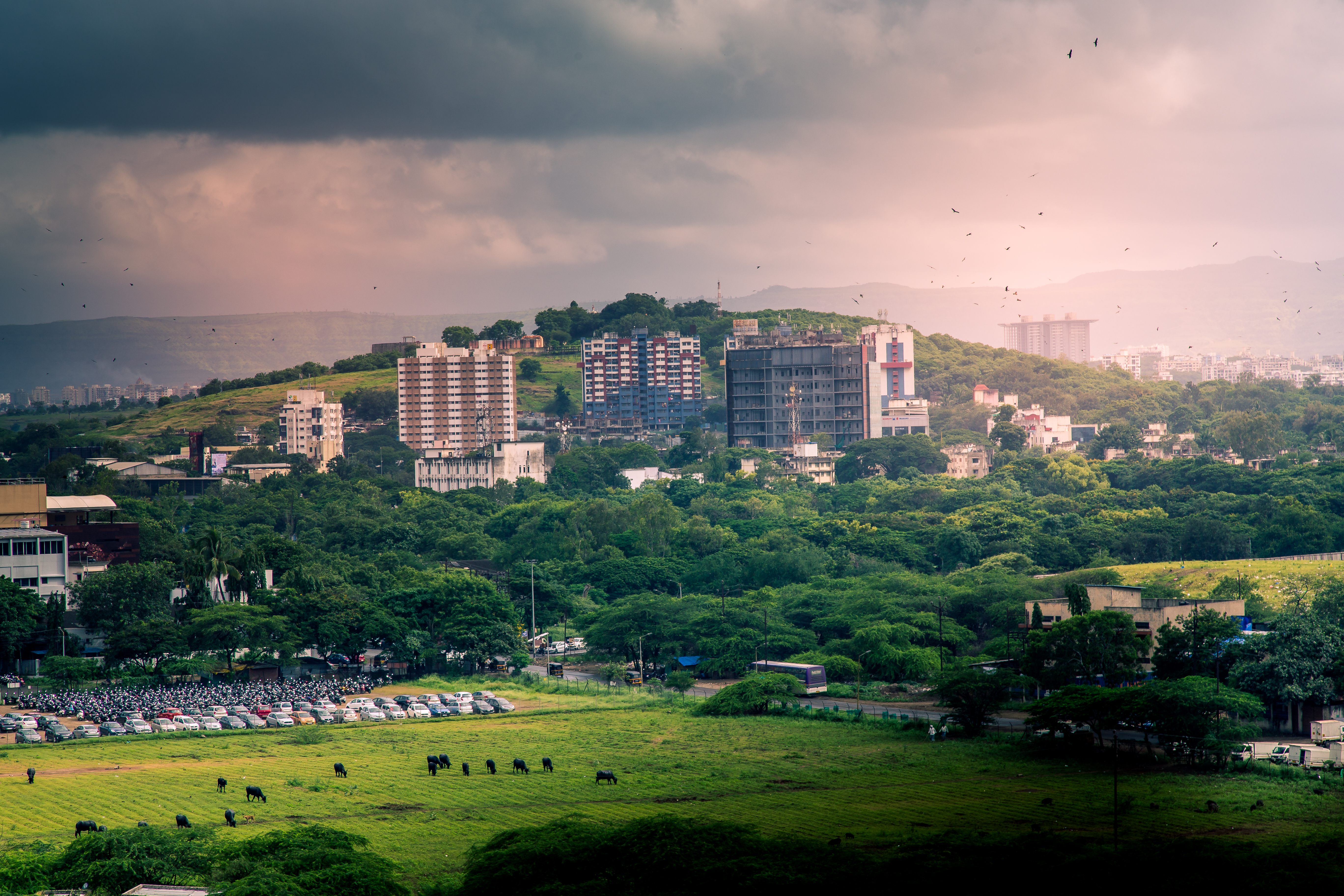 Image: Tiby Cherian / Shutterstock