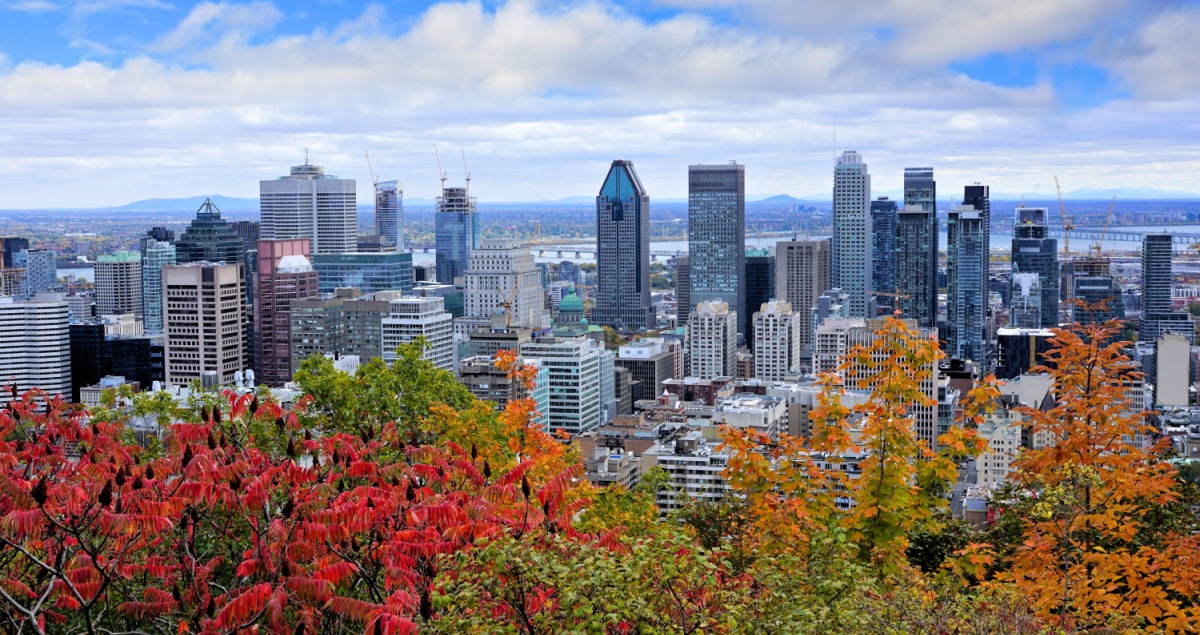 Photo: Shutterstock