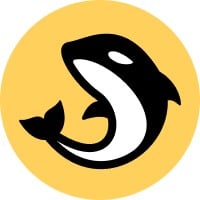 Orca (orca.so)