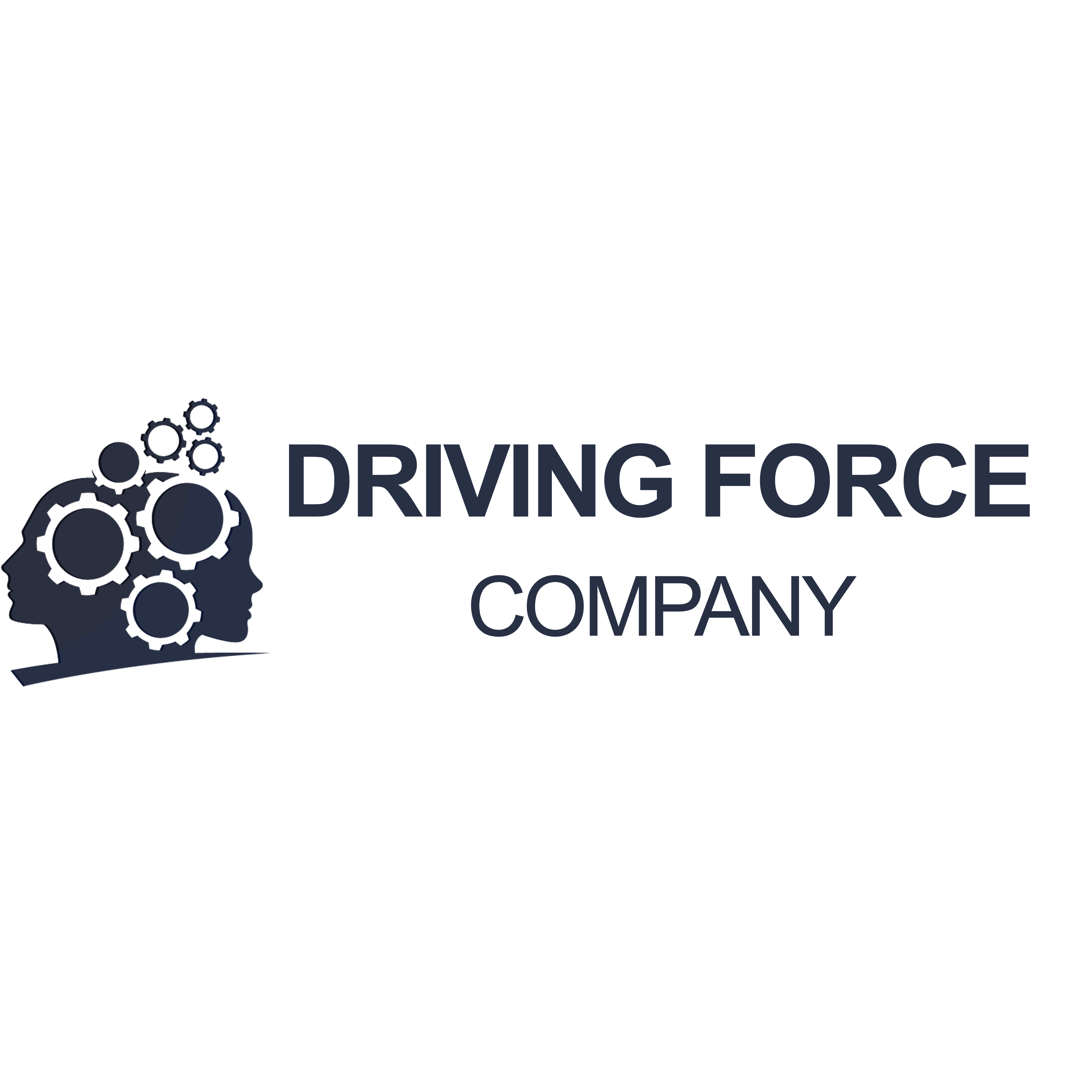Driving Force Company