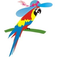 Macaws Infotech