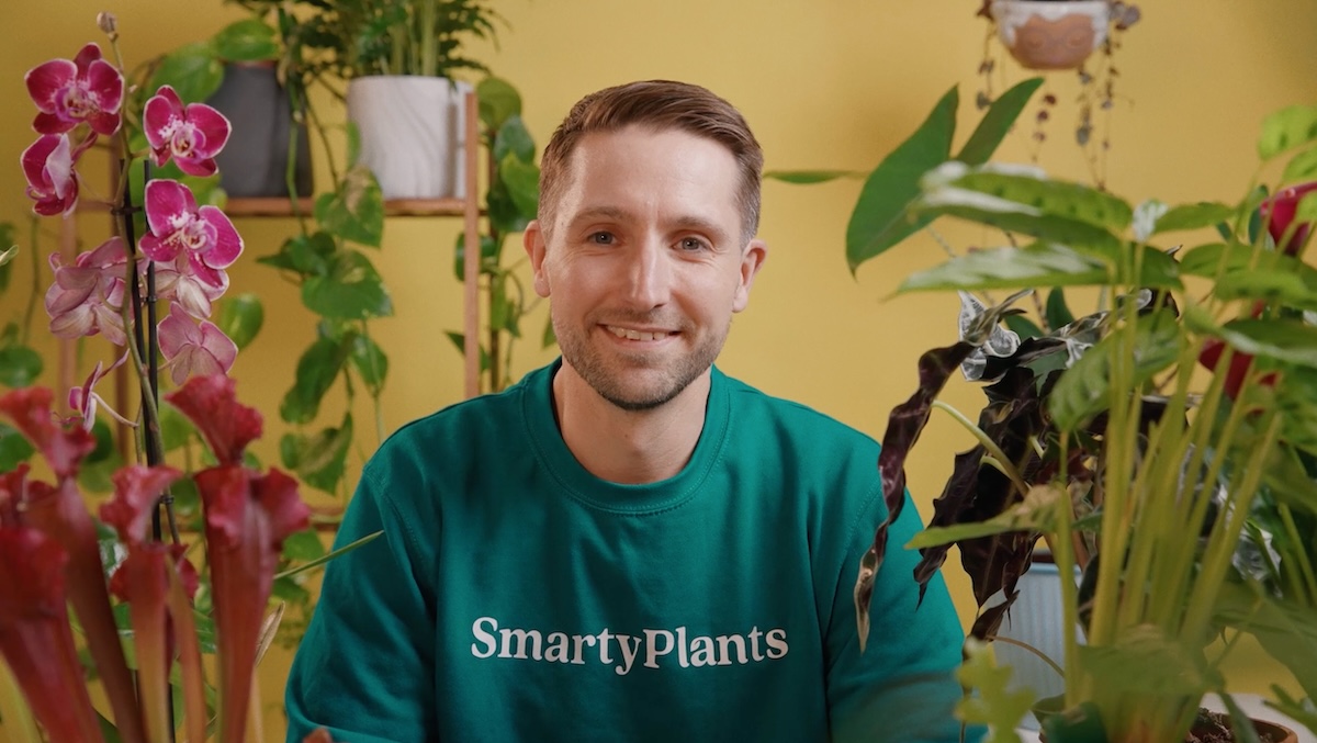 SmartyPlants founder Ben Beavers. | Photo: British Design Fund