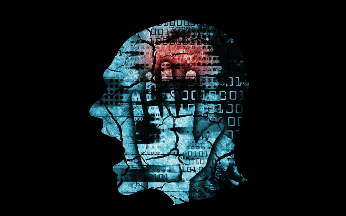 Image: Shutterstock / Canva
