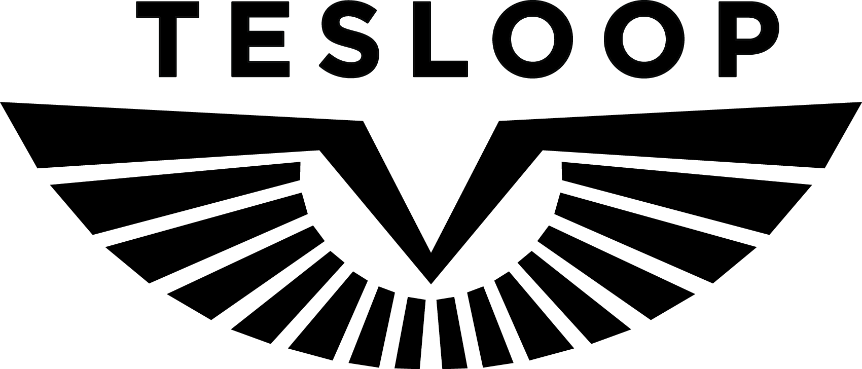 Tesloop