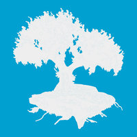 Believable Creations