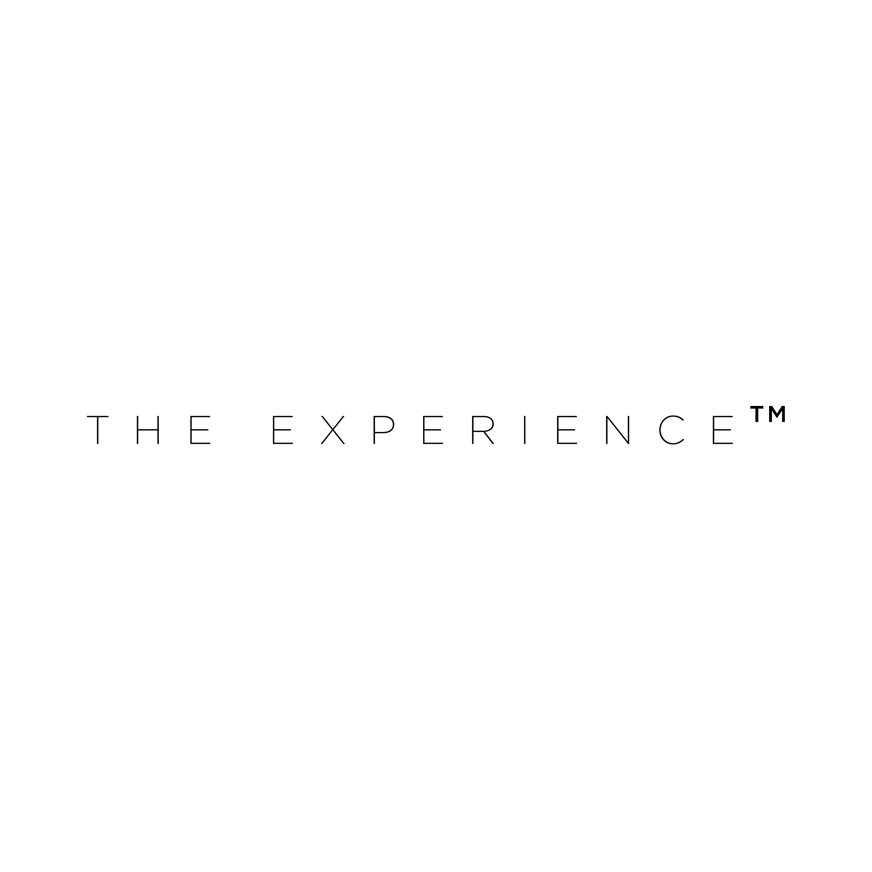 The Experience