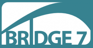 Bridge 7 Looking to Disrupt Billion Dollar Salesforce Services Ecosystem