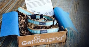 Why this Austin startup wants to be the TOMS shoes for shelter dogs