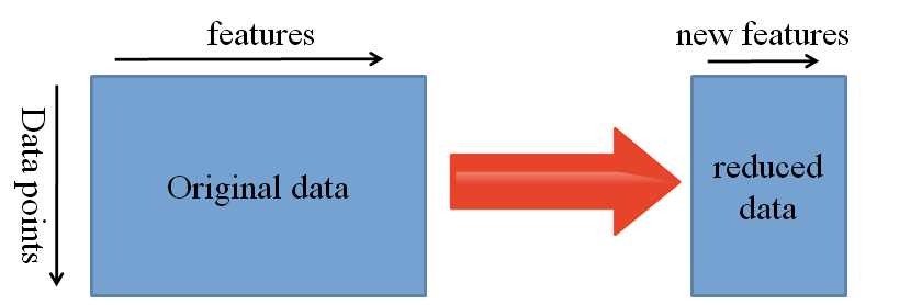 feature extraction transfer learning