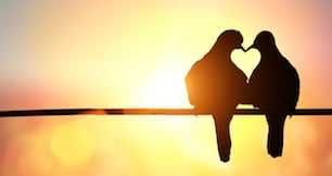 Searching for love? There are plenty of apps for that