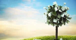 Austin startups raised $76M in February. Here are the top 5 rounds