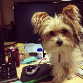 The 5 coolest perks of working for Austin's tech startups