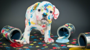 10 Ridiculously Simple Ways to Improve your Visual Content Marketing Strategy