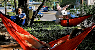 5 Austin startups with amazing outdoor workspaces