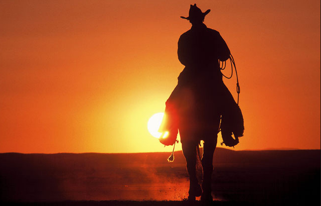 Navigating the Texas Angel Scene