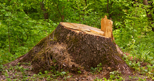 Don’t Get Stumped By Strange Interview Questions
