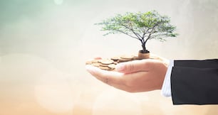 The Best Seed Round Structure Is the One that Closes