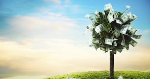 From bootstrapping to IPO: Startup funding rounds explained