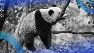 how to speed up pandas panda in a tree