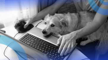 A person sits at a laptop with a mouse while a dog tries to interrupt