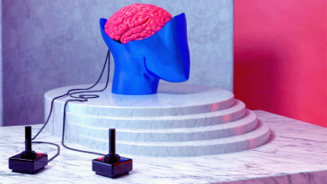 An exposed plastic brain being controlled by two neuromarketing controllers.