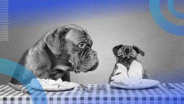 A big dog examines a smaller dog's lunch.