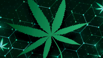 A digital tech cannabis leaf.