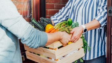 Person delivers fresh produce to a home.