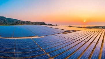 A field of solar panels.