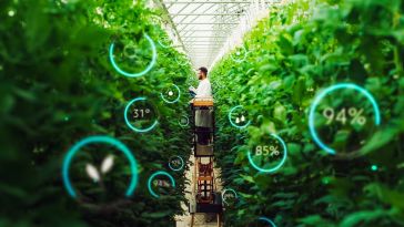 Man works on vertical farm.