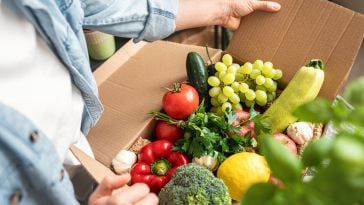 A close up of two hands opening a cardboard box filled with an assortment of green and red fruits and vegetables.