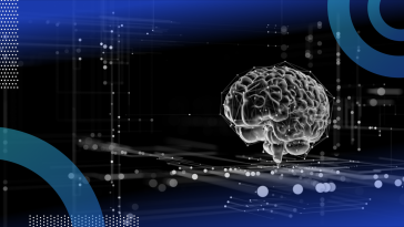 A digital image of a brain