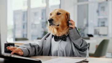 A golden retriever holds a phone to her ear wearing a gray shirt, blazer and bowtie.