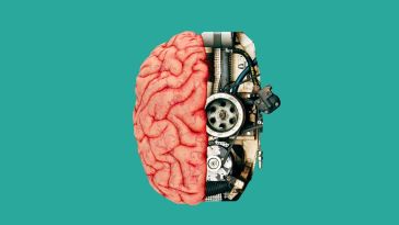A human brain split in two, with half being a human brain and the other half being mechanical parts.