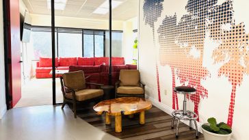 Golden Hippo offices with a modern open space and a mural of palm trees on the wall.