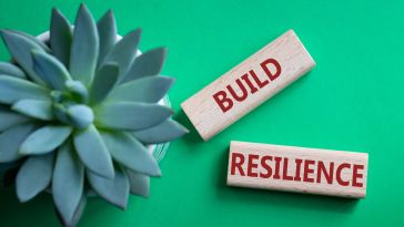 A photo of a succulent next to wooden blocks that say “build resilience” to show the idea of creating resilient ecosystems in tech.