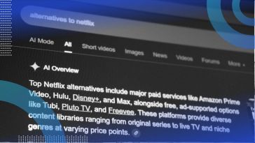 A Google AI overview search
