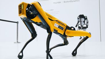 The Spot robot stands on all four legs in a white room.