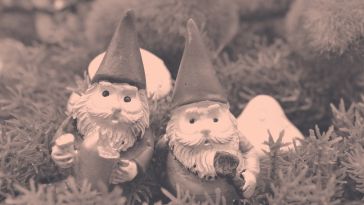 two gnomes standing in a patch of grass