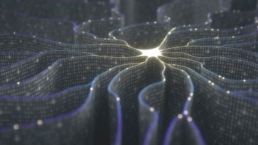 network of digital neurons dispersing in multiple directions