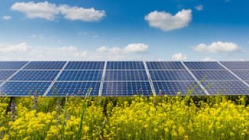 solar panels