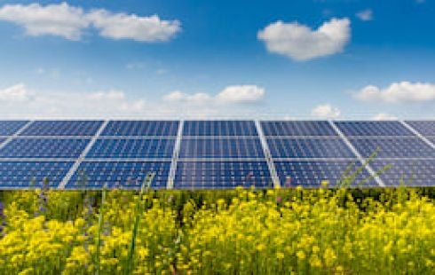 solar panels