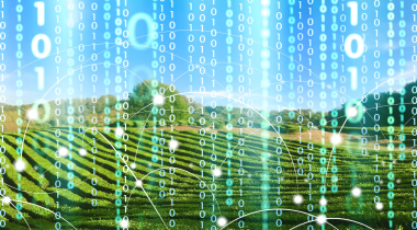 farmland with binary code overlay