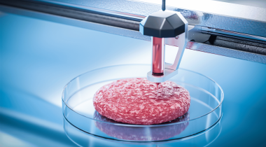 3D-printed beef patty in a petri dish