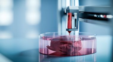 3D-printed Organs