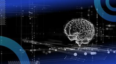 A digital image of a brain