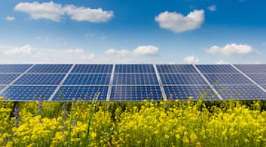 solar panels