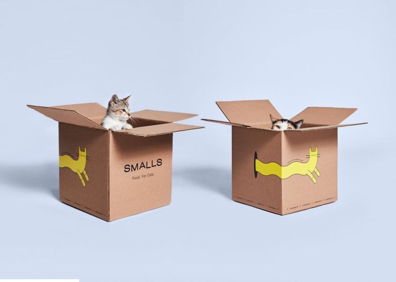 Cats in boxes