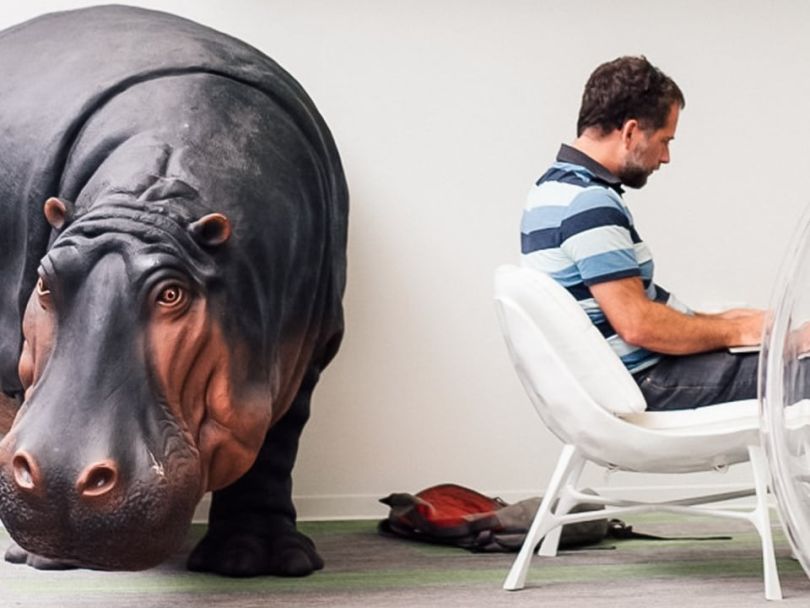 Hippo Insurance team austin unicorn journey
