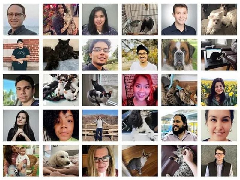 Curebase team photo collage